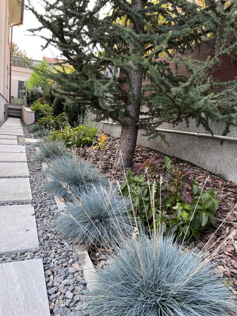 IMG 0293