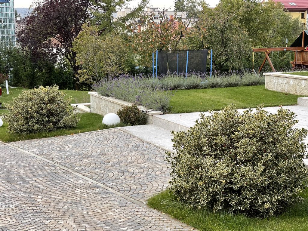 IMG 1573